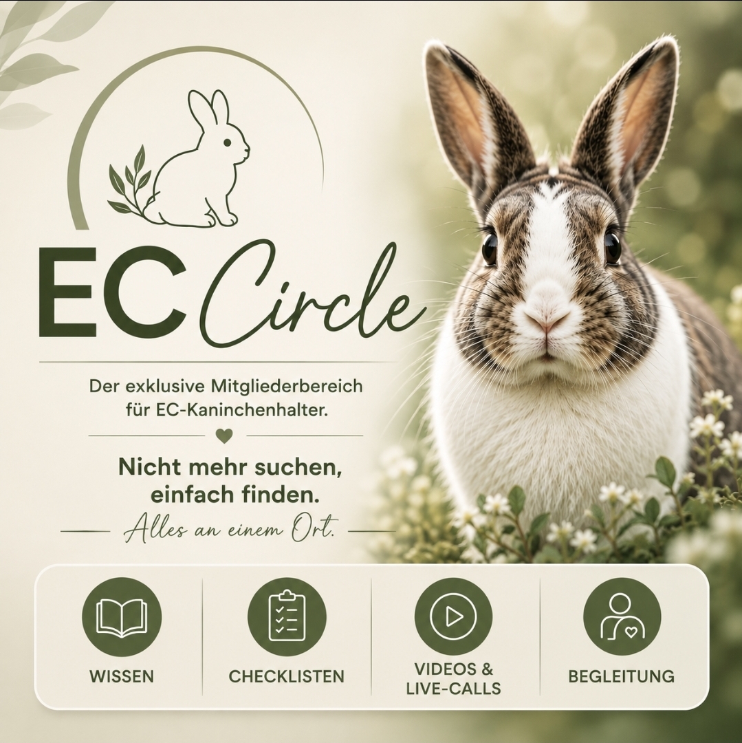 🐇 EC Circle in Arbeit – Nicht mehr suchen. Einfach finden. Alles an einem Ort.